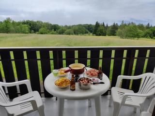 Studio au coeur de la montagne - Thollon - 6