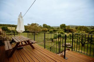 Orchard Cottage - Rudge Farm Cottages - Bridport - 7