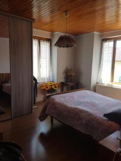 ludo - Saint-Pierre-dʼAllevard - 7