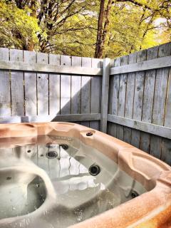 Snowdrop 10-Hot Tub-Woodlandlodges-St Clears-Pembrokeshire - Carmarthen - 7