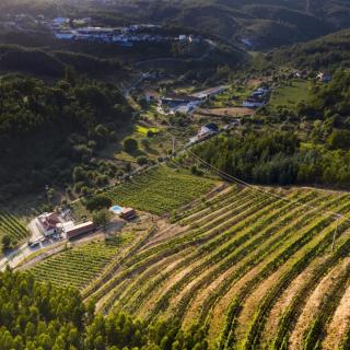 Quinta da Aldeia Nova - Arganil - 0