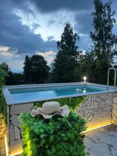 Villa Sarajevo Jacuzzi & Swimming Pool - Sarajevo - 0