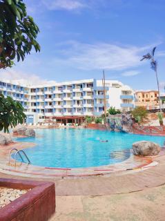 Green Park con piscina, bar, wifi, parking - San Miguel de Abona - 9