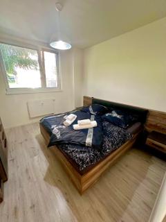 Apartmán s terasou Zvolen - Zvolen - 3