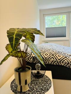 Apartament centrum Świnoujście 1 - Świnoujście - 4