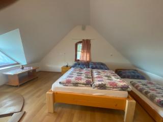 Apartma Medvedjek - 5