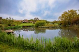 Keepers Cottage - Rudge Farm Cottages - Bridport - 7