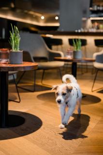 Hotel Bergzeit - 6