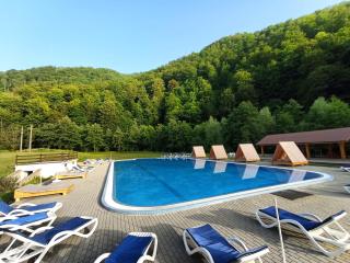 Pensiunea Poarta Raiului - Cugir - 3