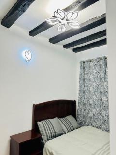 Apparemment Tour Eiffel- La Motte Picquet Grenelle - 3