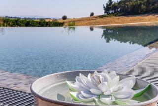 Oikos Sani Suites - Sani Beach - 8
