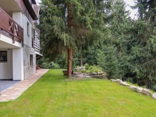 Studio Labaika by Interhome - Harrachov - 3