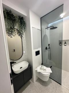 Cozy Apartment VRT - Sibiu - 5