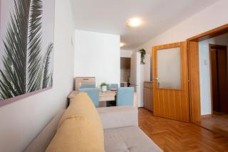Augusta - Central, spacious with easy parking option - Novi Sad - 4