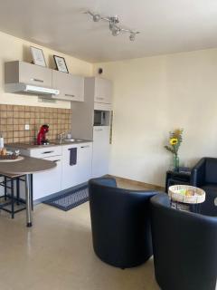 Confortable et agréable T1 n 2 - Ussel - 9