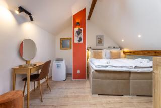 Classy Loft Apartment in the City Center of Prague - Prague - 6
