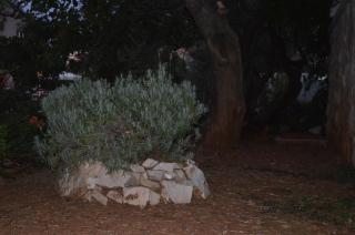 Apartmants Bubalo - Trpanj - 8