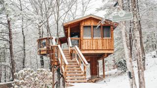 The Cottonwood in Treehouse Grove at Norton Creek - 0