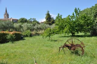Terre d'Oliviers - Issirac - 1