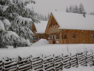 Holzmeisterhütte Teichalm-Sommeralm - Sankt Kathrein am Offenegg - 9