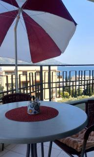 SeaviewBU2 - Boreti - 9