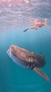 Dhigurah Dhonveli Boutique - 2