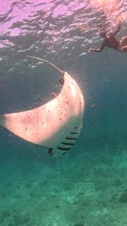 Dhigurah Dhonveli Boutique - Dhigurah - 4