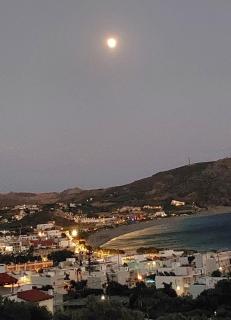Olive Grove - Plakias - 5