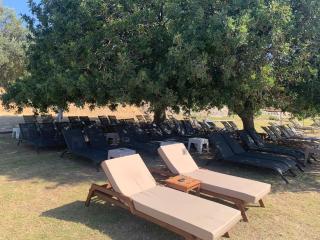 Sisus Marina Hotel - Çeşme - 2