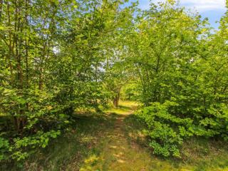 Holiday Home Gullmaj - 200m from the sea by Interhome - Vester Sømarken - 6