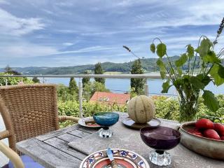 Holiday Home Seepanorama by Interhome - Wangen - 1