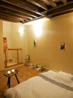 RARE Villa avec jardin privatif au centre de Paris - 6