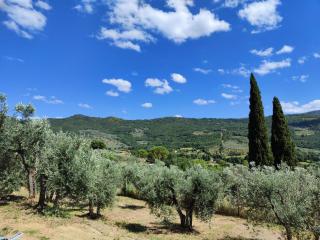 Casa vacanze Colle Bidoni - 5