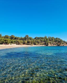 Charmant Studio - La Londe-les-Maures - 3
