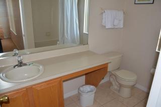 Traditional 3 Bed 2.5 Bath Townhome - Davenport - 6