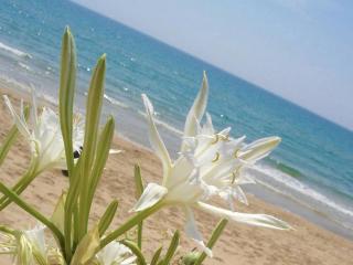B&B Capo Rizzuto Armenes - 1
