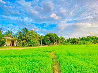 Windy Villa - Polonnaruwa - 8