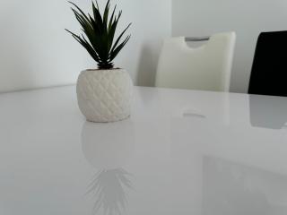 Gemütliche 2- Zimmer Apartment nahe Neuen Donau - Vienne - 3
