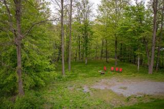 Cozy Waterfall Oasis - Close to Catskills - East Durham - 4