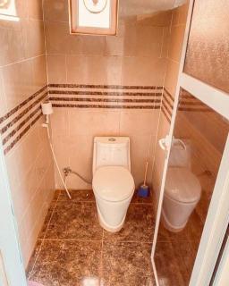 Luxury Bedouin camp - 2