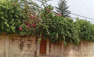 DADO Beach Cotonou - Cotonou - 4