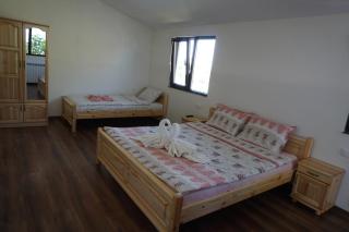 Guesthouse Juli - Sapareva Banya - 1