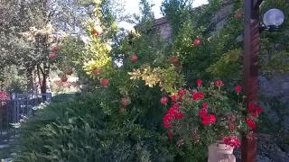 IL Melograno - Panicale - 2