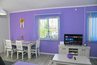 Apartments Biondi - Viskovo - 8
