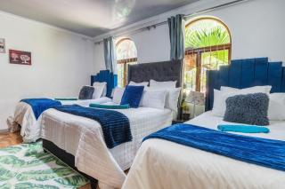 joyous luxuries - Kapstadt - 7