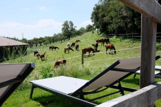 Trautesheim Ferienwohnungen - 8