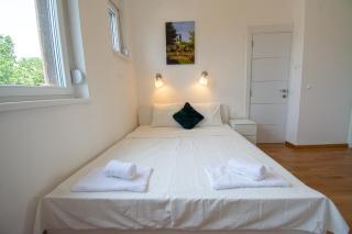 Serene Bulbuder Suite - Belgrade - 9