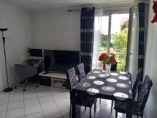 chez wioletta et pascal - Athis-Mons - 1