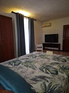 Seashell Haven Villa - Trou aux Biches - 7