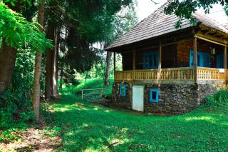 Casa Visovan - Sighetu Marmaţiei - 9